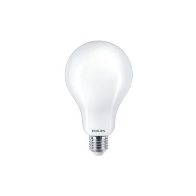 ŽARULJA LED A60 13W E27 CW PHILIPS