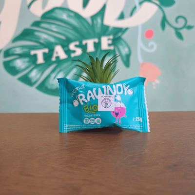 BAR ORG SIROVI RAWNDY KOKOS 26G NOM