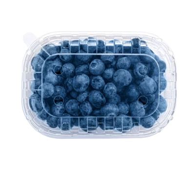 Borovnica 125g