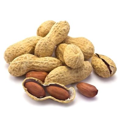 KIKIRIKI U LJUSCI 200GR