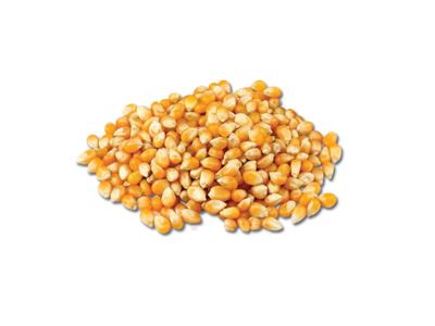 KUKURUZ KOKICAR 200GR