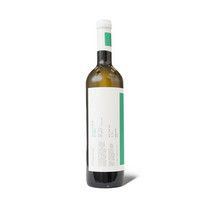 Vino belo Sauvignon Blanc Djurdjic 0.75l