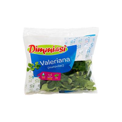 SALATA VALERIANA 50G