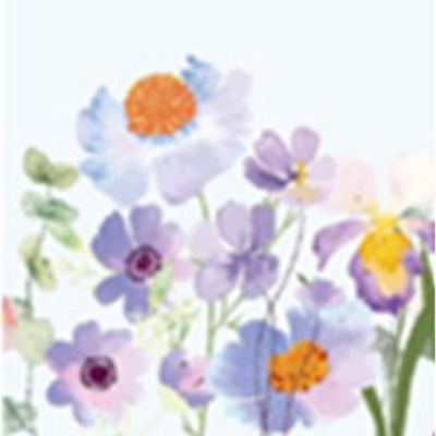 SALVETE PALOMA PROLEĆE 1 33X33 20/1