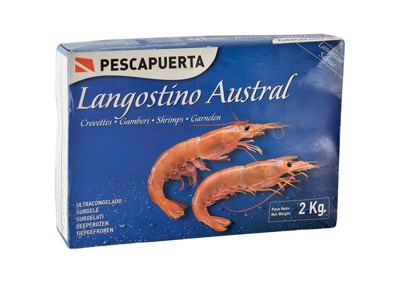 2KG GAMBORI-L1