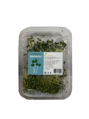 Mikrobilje brokoli 25g
