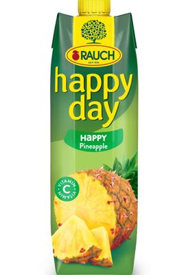 HAPPY DAY 1L ANANAS