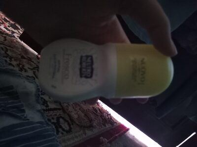 NEUTRO ROBERTS roll-on Fresco BERG. 50ml