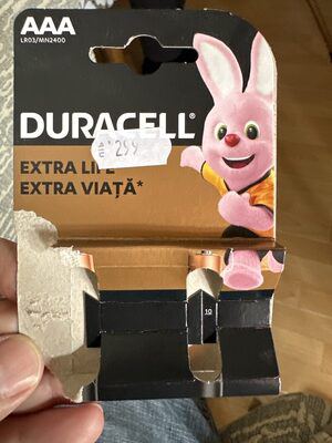 DURACELL BASIC AAA 2/1 DURALOCK