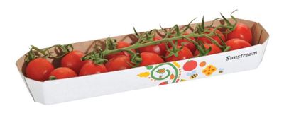 PARADAJZ SUNSTREAM 250G