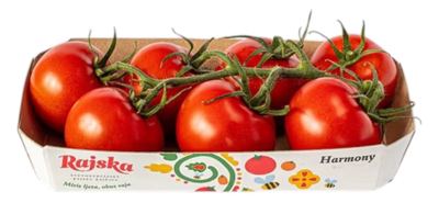PARADAJZ KOKTEL HARMONY RAJSKA 500GR WFC