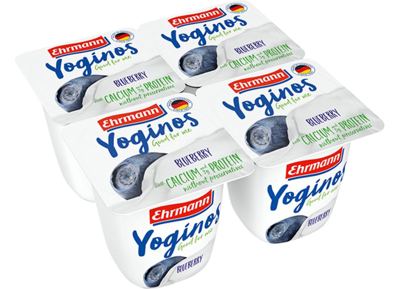 VOCNI JOGURT BLUEBERRY 100G YOGINOS