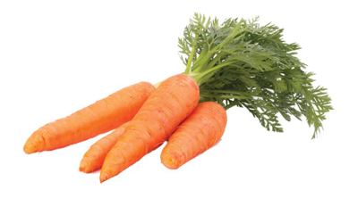 ŠARGAREPA ORGANSKA 500 GR ORGANICO