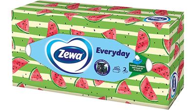 ZEWA EVERYDAY MAR.ZA LICE WINT 2SL 100/1
