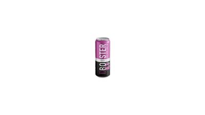 ENERGETSKI NAPITAK BOOSTER BOROVNICA 0.25L