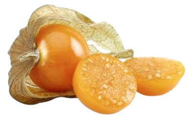 FIZALIS ŽUTI 100G