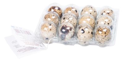 JAJA OD JAPANSKE PREPELICE EGG TRADE 12/1