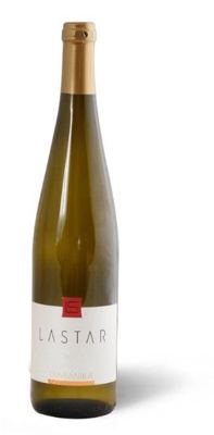 Vino Tamjanika 0750 Lastar