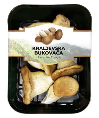 200G KING OYSTER-STAND.-VAR.