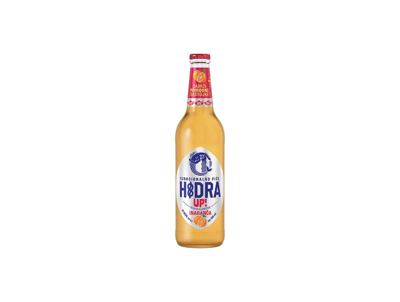 HIDRA UP!0,5L STAKLENA BOCA