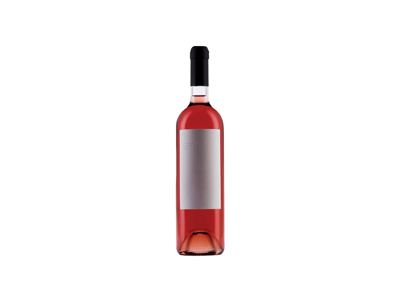 *ROSE OPOL STINA 0,75L ZOI SUHO 2024