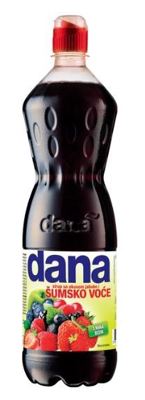 DANA SIRUP ŠUMSKO VOĆE 1l PET