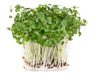 BIO KLICE BROKULE 70 g