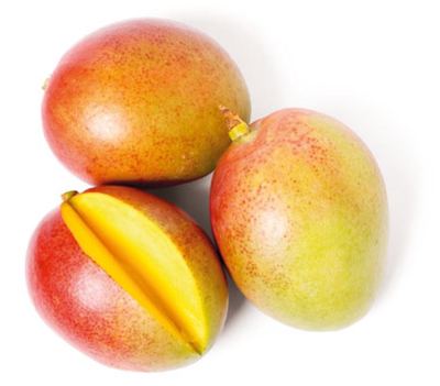 MANGO kom