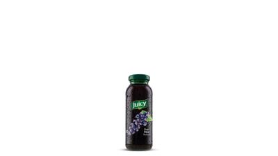 JUICY CRNI RIBIZL NEKTAR 0.195 (12)