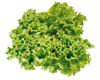 SALATA KRISTAL kom