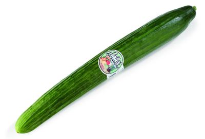 KRASTAVAC SALATAR VH kom