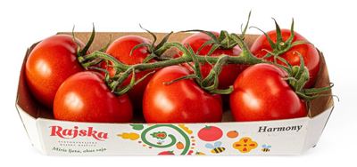 RAJČICA HARMONY 500g