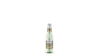 N-*GINGER BEER FEVER TREE 0.2L -24/1-