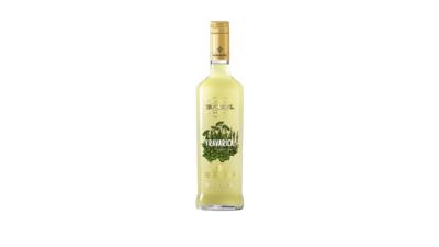 0.1L TAKOVO RAKIJA VILJAMOVKA-STAND.-VAR.
