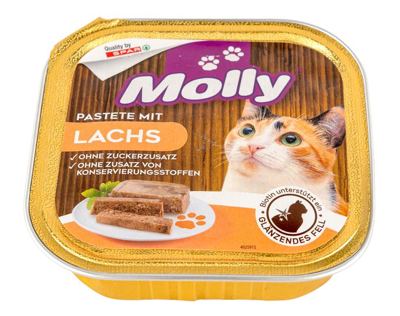 HRANA ZA MAČKE MOLLY LOS.100 g