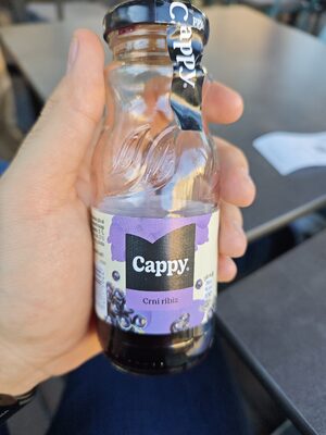 CAPPY CRNI RIBIZ 0,2L