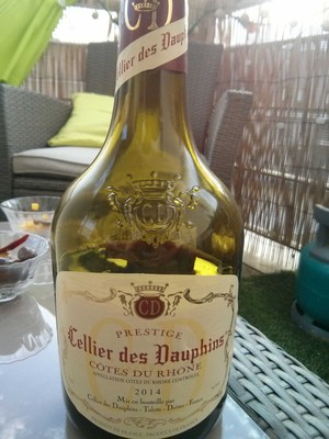 VINO CRVENO COTES DU RHONE 0.75L DAUPHINS