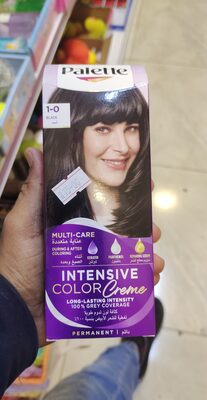 BOJA ZA KOSU PALETTE 1-0 INTENZIVNA CRNA