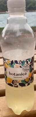 JAMNICA BOTANICA LIMUN-MENTA 0,50 L PET JAMNI