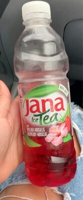 JANA LEDENI CAJ 0,5L MALINA-HIBISKUS