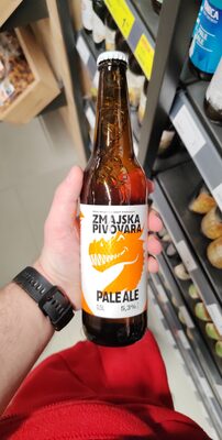 PALE ALE-BOCA 0,5L