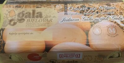 JAJA M RAZRED 10/1 GALA