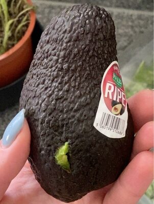 AVOKADO ¨READY TO EAT¨ - KOM