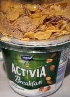 ACTIVIA MIX 190 G DANONE