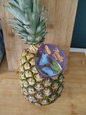 ANANAS KRUPNI CAL 6 KOM-STAND.-VAR.