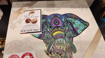 PRALINE ELEPHANT POKLON KUTIJA 250 G SOCADO