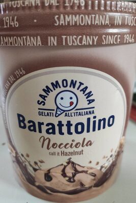 SLADOLED BARATTOLINO LESNIK 500G