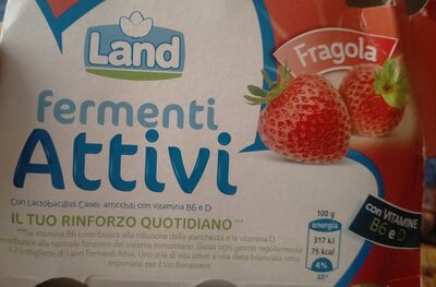 MLIJEČNI N.FERMENTI.JAGODA 6X100g