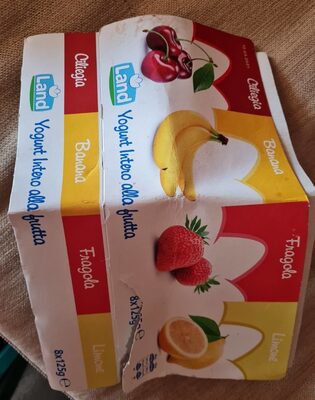 JOGURT VOĆNI MIX 8X125g