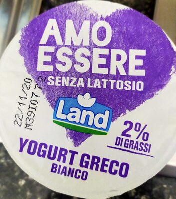 GRČKI JOGURT 2% m.m. BEZ LAKTO.150g